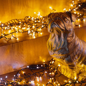 Dressable LED Strip Lights Series met heldere concave lens 240V Dimmable Over 30000 Hours