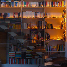 Doorzichtige lenzen aanspreekbare LED-strooklichten Dimmable IP44 waterdicht 19.7FT Lengte voor huisarchitectuur