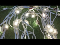 buitenverlichting led dakrand licht