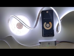 RoHS-gecertificeerde LED-strooklichten serie in 6,5ft lengte met warme witte kleur