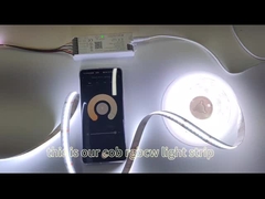 Het Licht van de MAÏSKOLFstrook