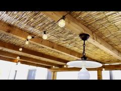 Zonne-LED-licht ST38